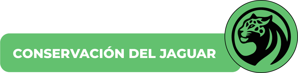 Jaguar Chiapas